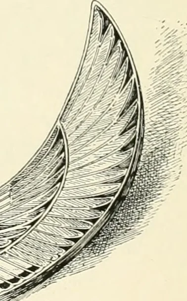 An illustration from A history of art in ancient Egypt, 1883, leaf 417