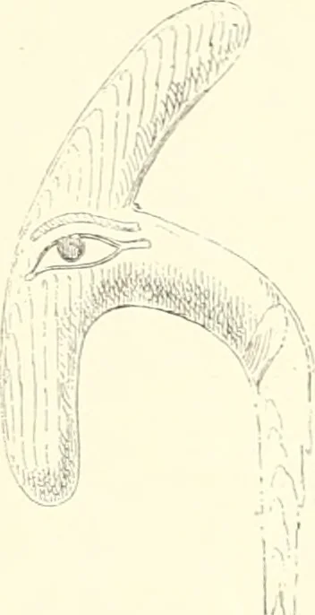 An illustration from A history of art in ancient Egypt, 1883, leaf 432