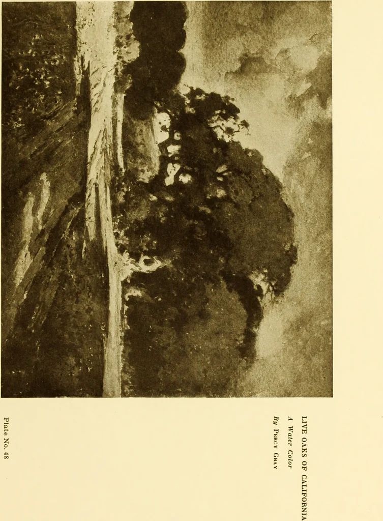 An illustration from Art in California : a survey of American art with special reference to Californian painting, sculpture and architecture past and present, particularly as those arts were represented at the Panama-Pacific International Exposition : being essays and articles by the following contributors, 1916, leaf 132