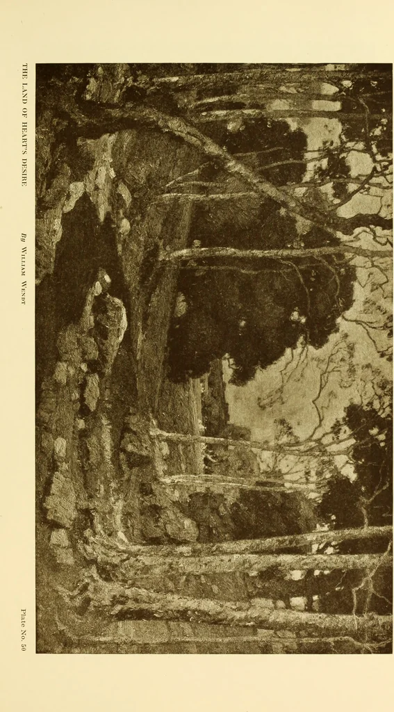 An illustration from Art in California : a survey of American art with special reference to Californian painting, sculpture and architecture past and present, particularly as those arts were represented at the Panama-Pacific International Exposition : being essays and articles by the following contributors, 1916, leaf 136