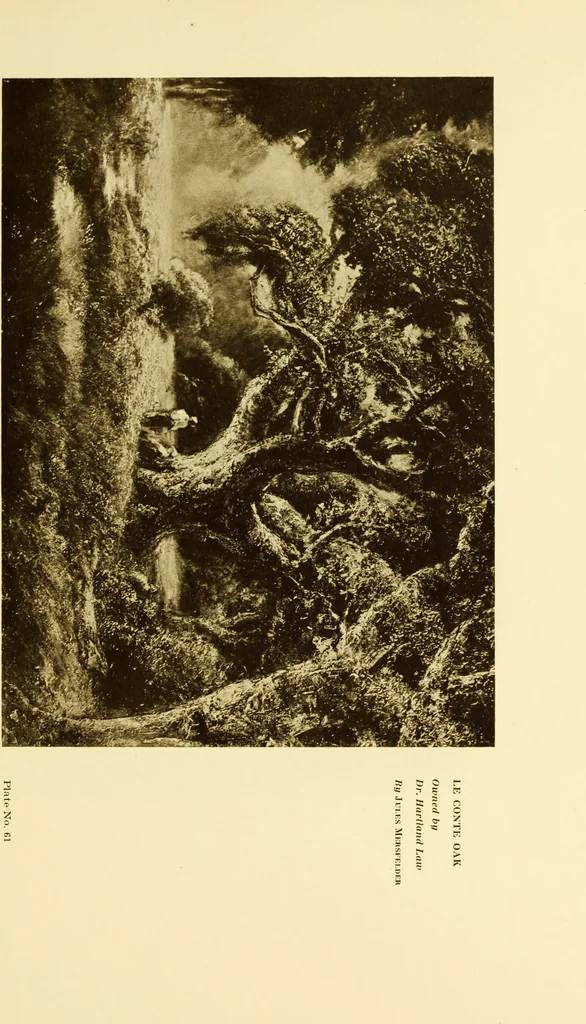 An illustration from Art in California : a survey of American art with special reference to Californian painting, sculpture and architecture past and present, particularly as those arts were represented at the Panama-Pacific International Exposition : being essays and articles by the following contributors, 1916, leaf 158