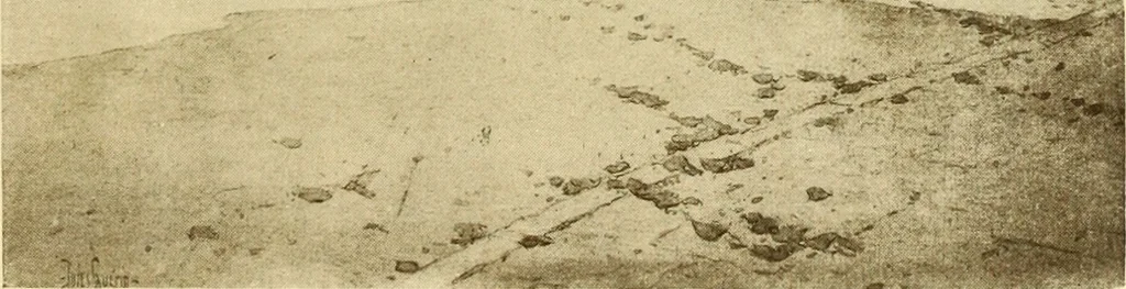 An illustration from Art in California : a survey of American art with special reference to Californian painting, sculpture and architecture past and present, particularly as those arts were represented at the Panama-Pacific International Exposition : being essays and articles by the following contributors, 1916, leaf 238