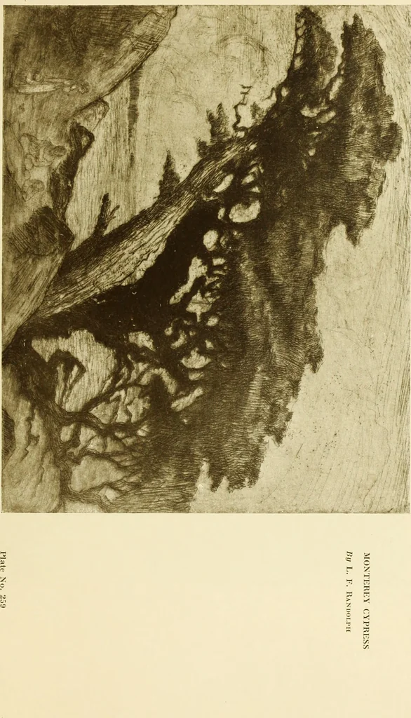 An illustration from Art in California : a survey of American art with special reference to Californian painting, sculpture and architecture past and present, particularly as those arts were represented at the Panama-Pacific International Exposition : being essays and articles by the following contributors, 1916, leaf 494