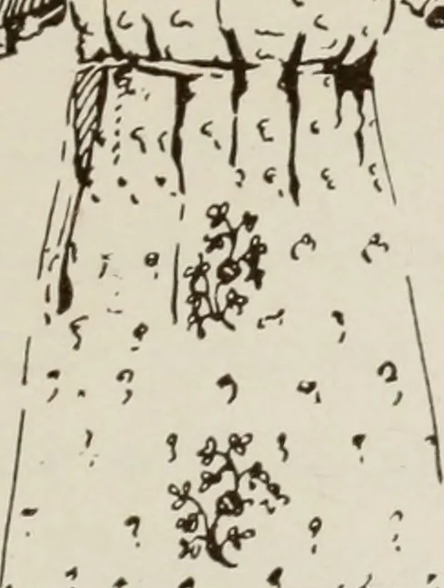 An illustration from Art in costume design; practical suggestions for those interested in art, sewing, history and literature, 1920, leaf 170