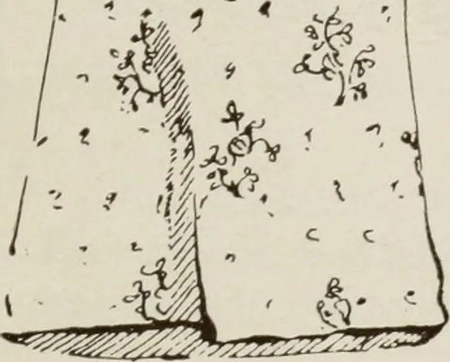An illustration from Art in costume design; practical suggestions for those interested in art, sewing, history and literature, 1920, leaf 170