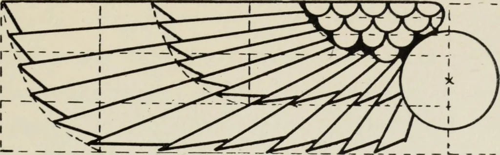 An illustration from Art in costume design; practical suggestions for those interested in art, sewing, history and literature, 1920, leaf 46