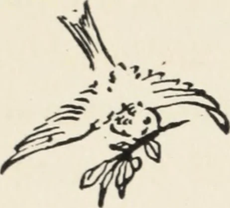 An illustration from Art in costume design; practical suggestions for those interested in art, sewing, history and literature, 1920, leaf 93