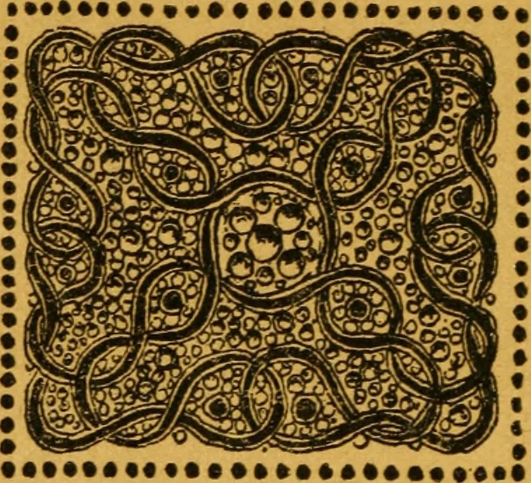An illustration from Art in decoration; some modern examples with illustrations, 1889, leaf 55