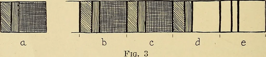 An illustration from Art in dress, 1916, leaf 11