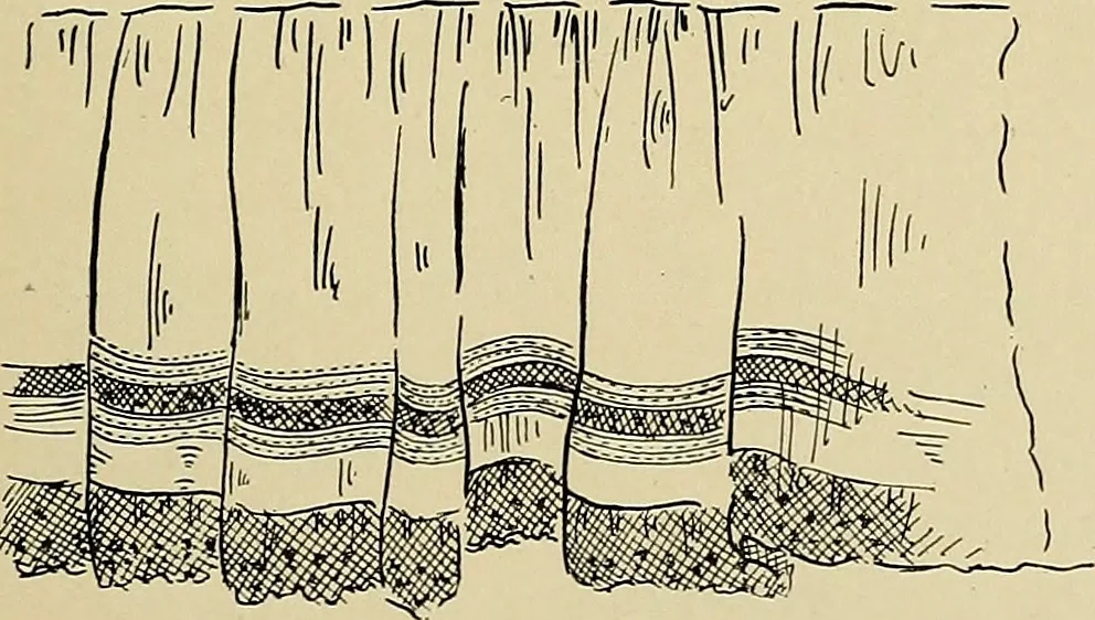 An illustration from Art in dress, 1916, leaf 12
