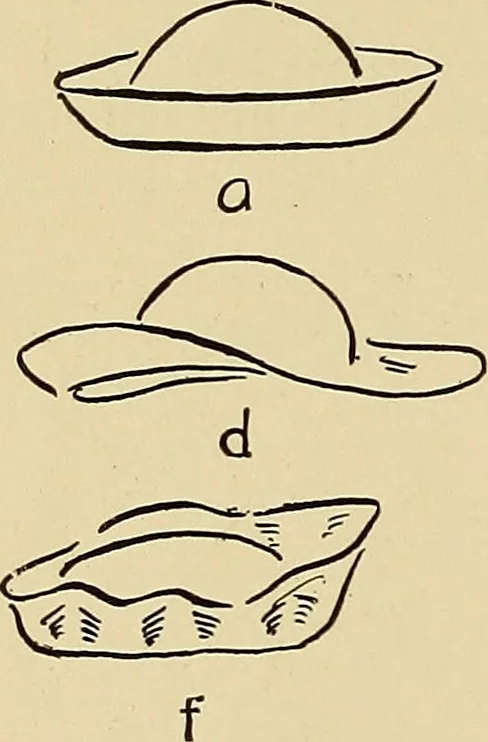 An illustration from Art in dress, 1916, leaf 27