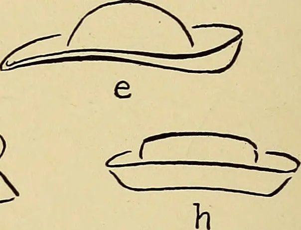 An illustration from Art in dress, 1916, leaf 27