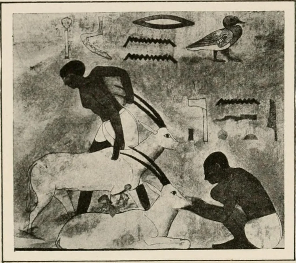 An illustration from Art in Egypt, 1912, leaf 125