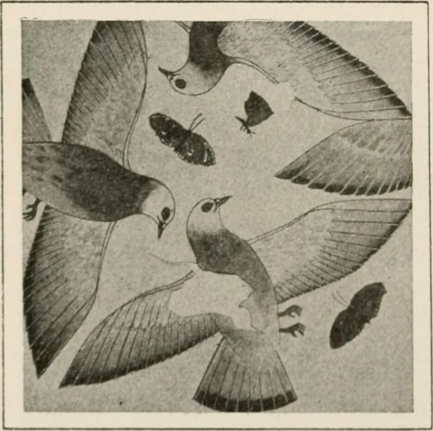 An illustration from Art in Egypt, 1912, leaf 165