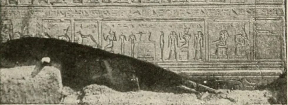 An illustration from Art in Egypt, 1912, leaf 23
