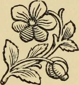 An illustration from Art in England;, 1869, leaf 370