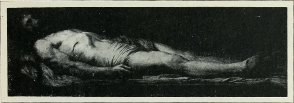 An illustration from Art in France, 1911, leaf 216