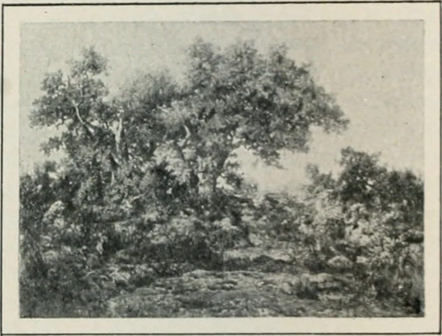 An illustration from Art in France, 1911, leaf 385