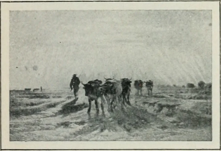 An illustration from Art in France, 1911, leaf 390