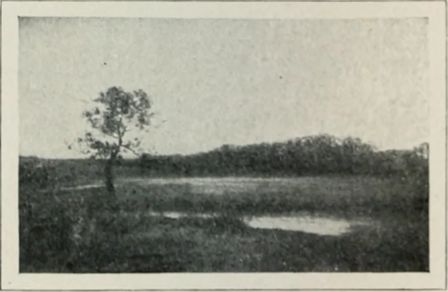 An illustration from Art in France, 1911, leaf 429