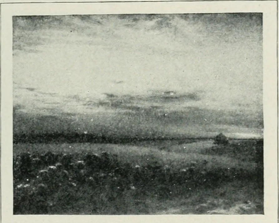 An illustration from Art in France, 1911, leaf 430