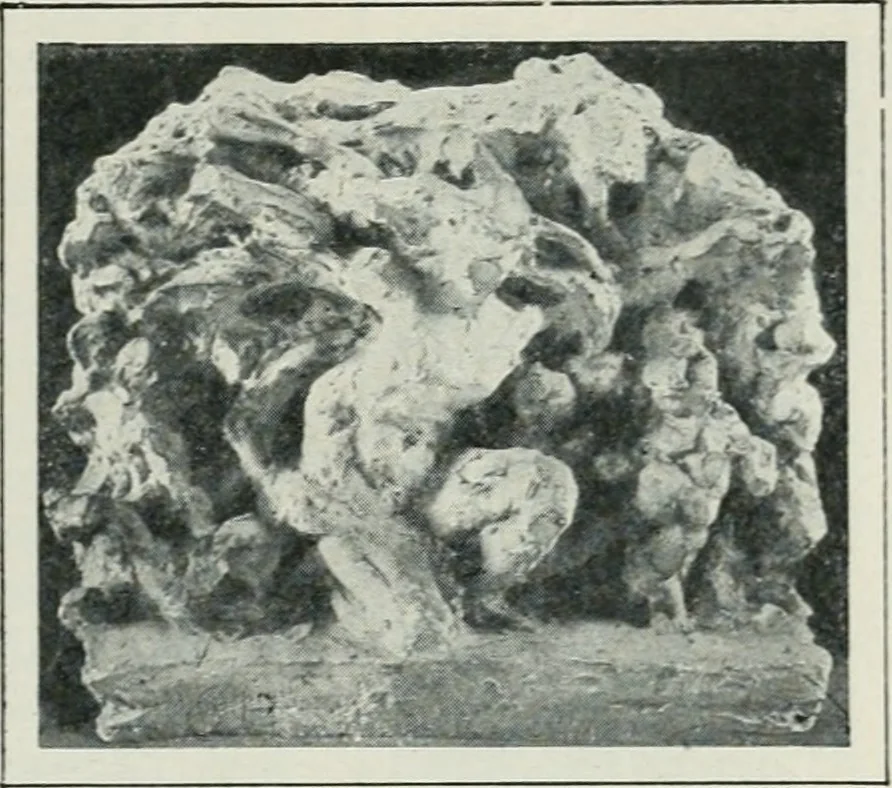 An illustration from Art in France, 1911, leaf 472