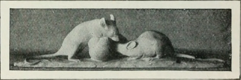 An illustration from Art in France, 1911, leaf 481
