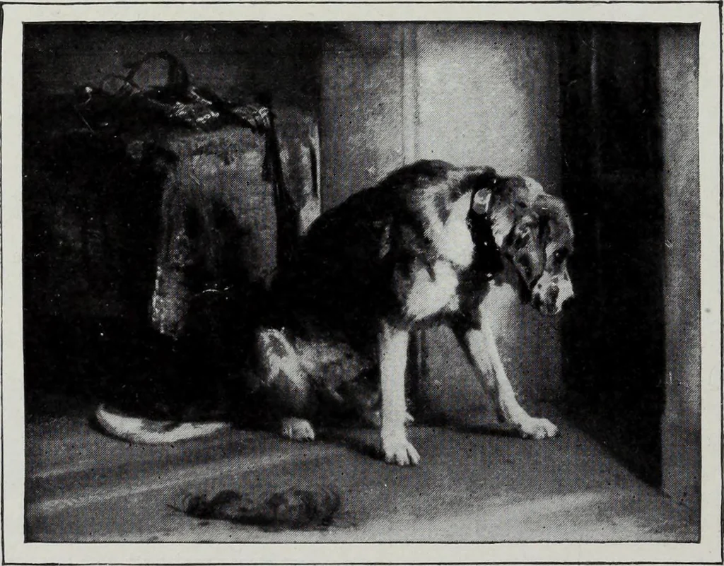 An illustration from Art in Great Britain and Ireland, 1909, leaf 251