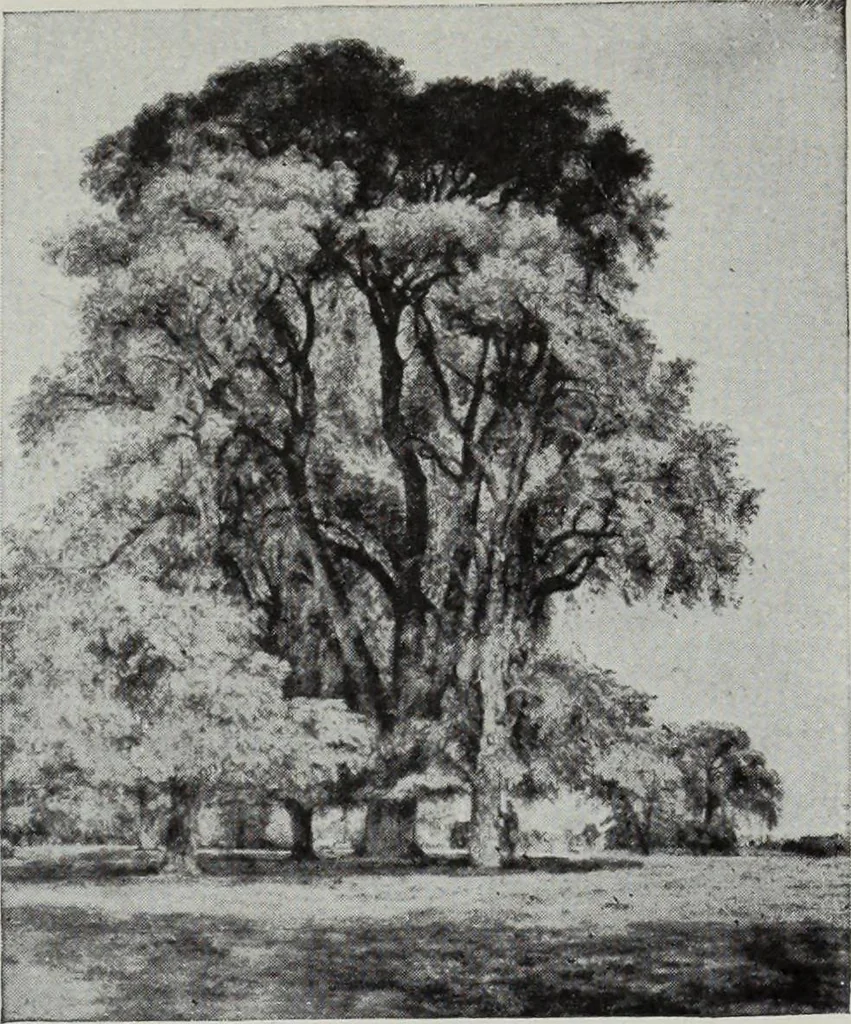 An illustration from Art in Great Britain and Ireland, 1909, leaf 309