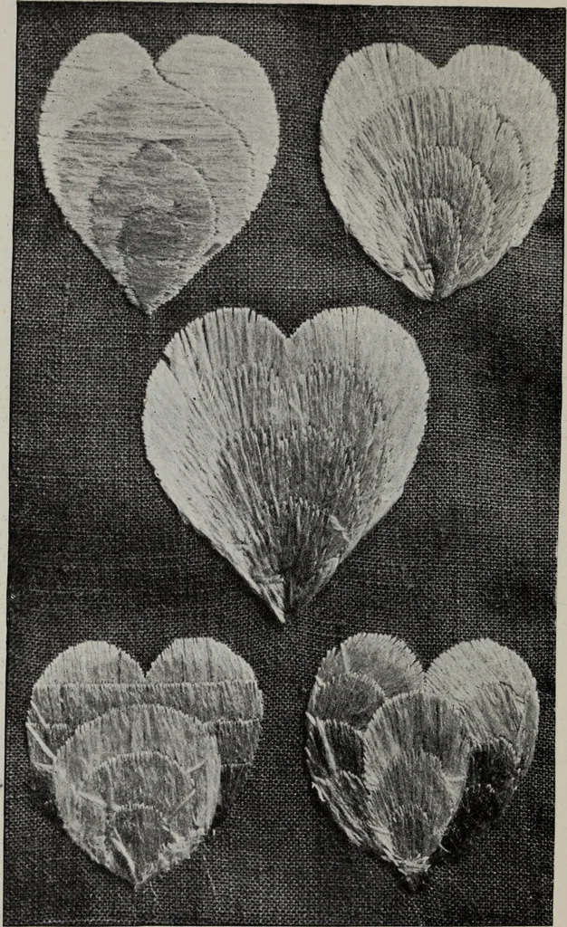 An illustration from Art in needlework; a book about embroidery, 1900, leaf 121