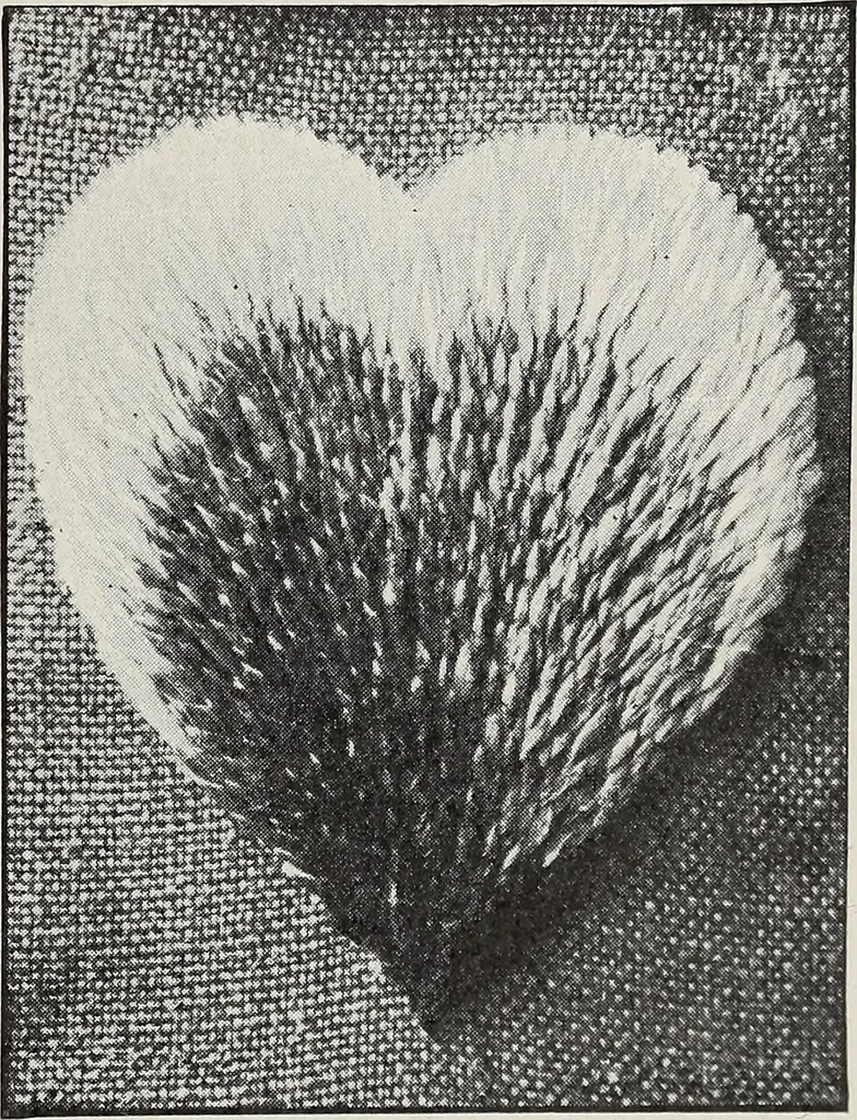 An illustration from Art in needlework; a book about embroidery, 1900, leaf 122
