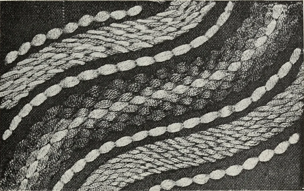 An illustration from Art in needlework; a book about embroidery, 1900, leaf 152