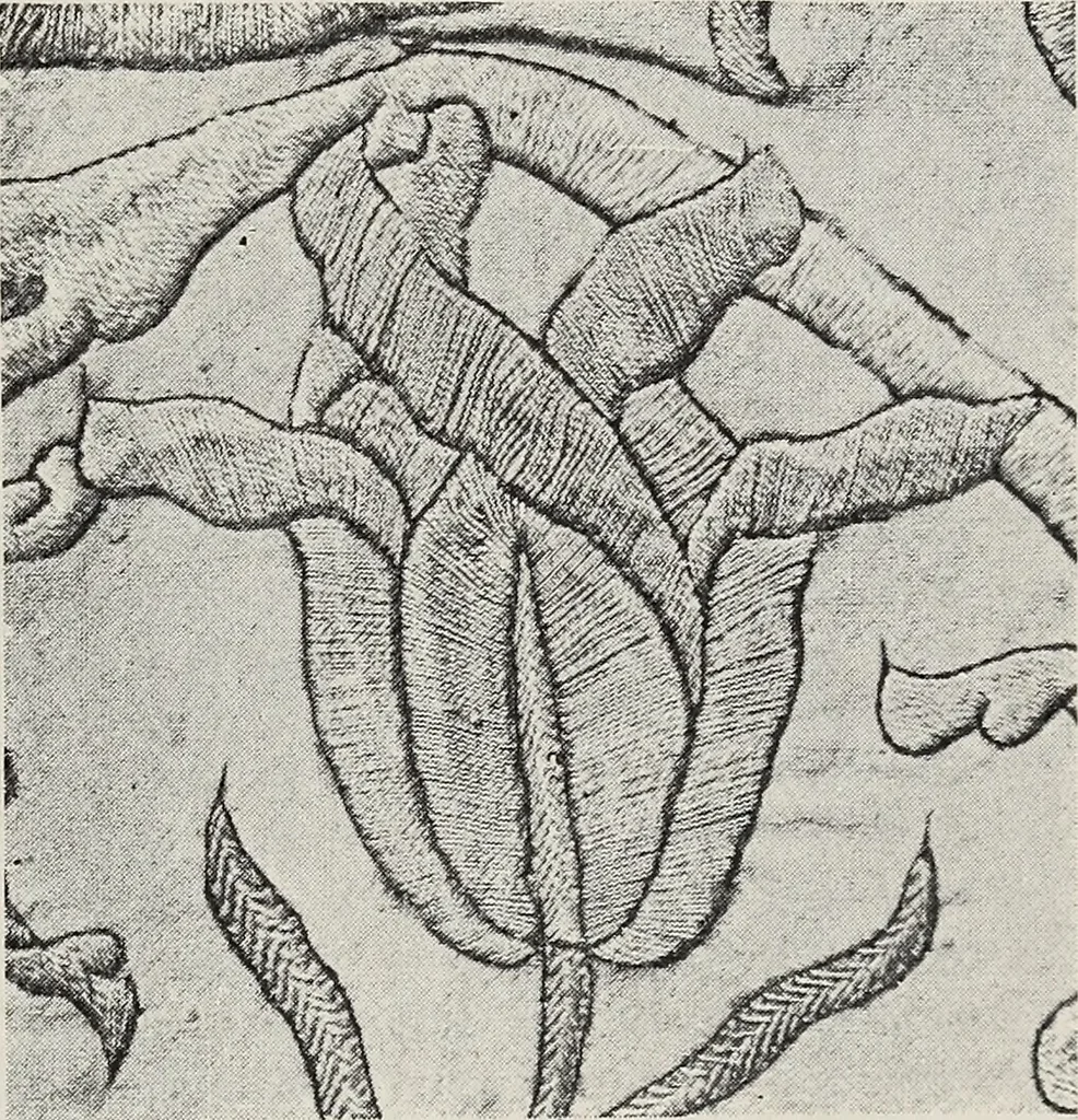 An illustration from Art in needlework; a book about embroidery, 1900, leaf 238