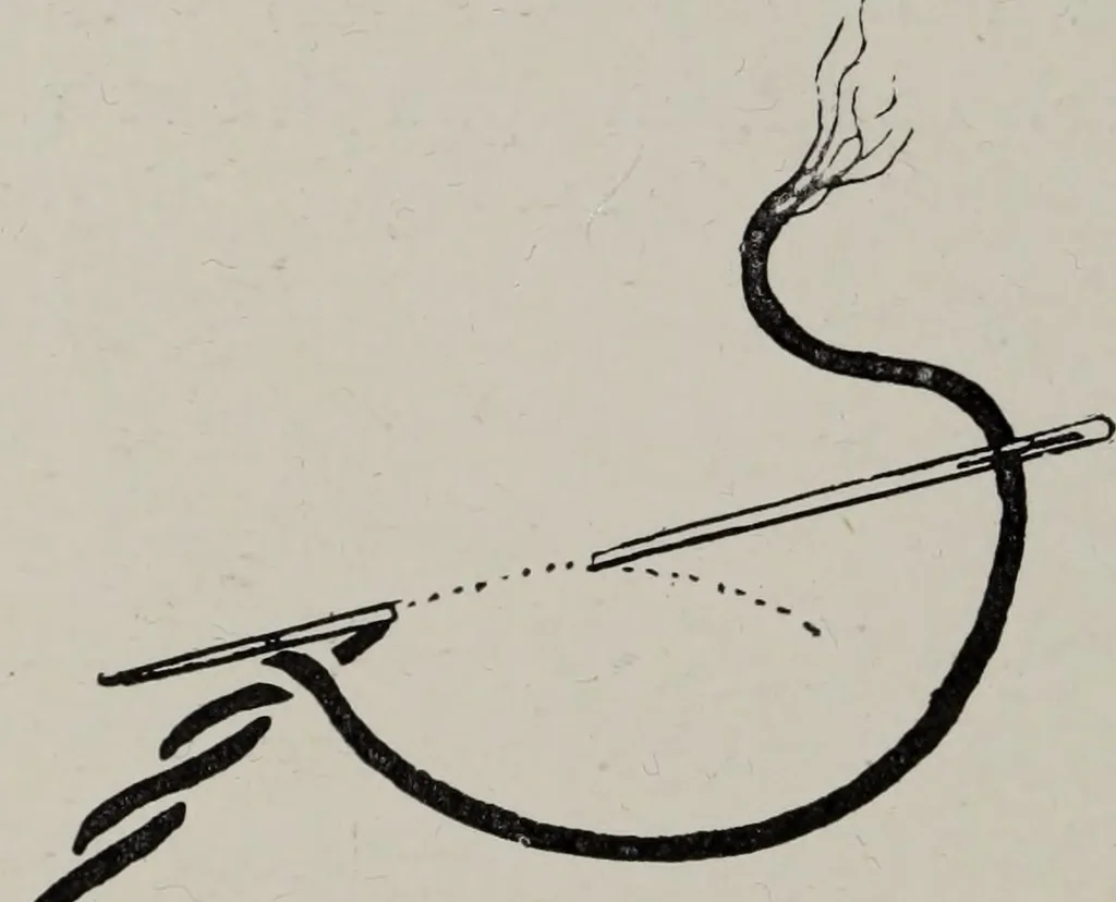 An illustration from Art in needlework; a book about embroidery, 1900, leaf 53