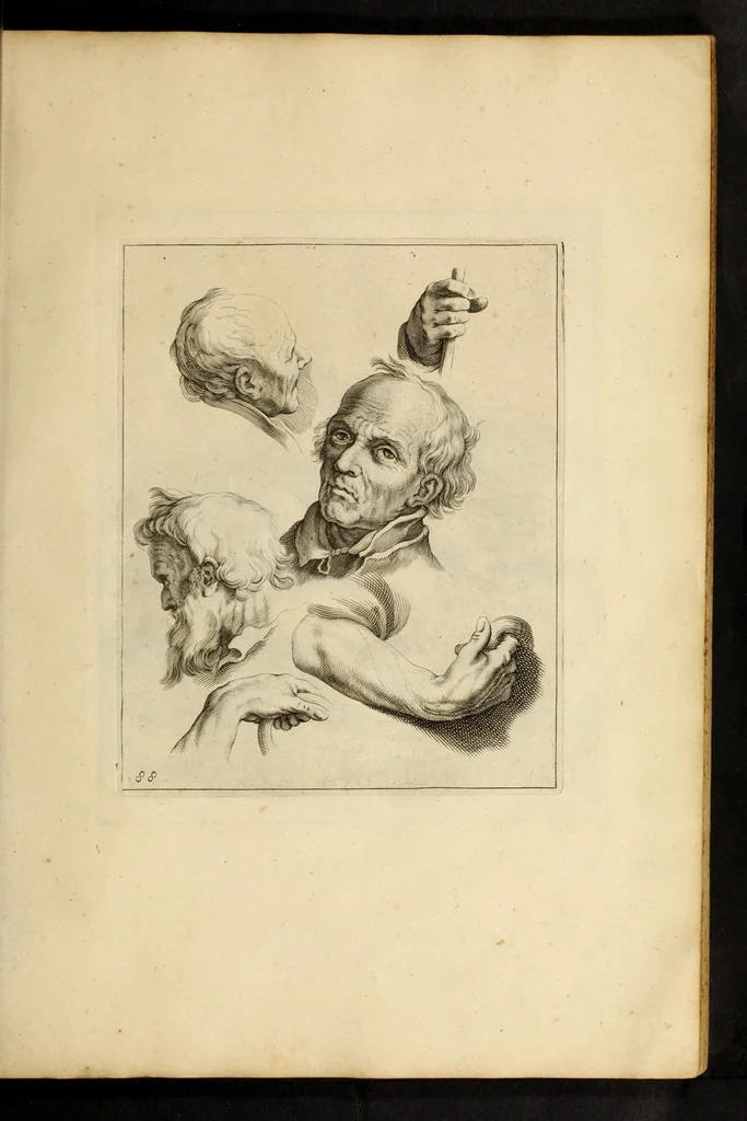 An illustration from Artis Apelleae : liber hic, studiosa juventus, aptata ingenio fert rudimenta tuo : hos duce carpe viam, membratim tota figura discitur, his gradibus scandere ad alta dabit, 1650, leaf 189