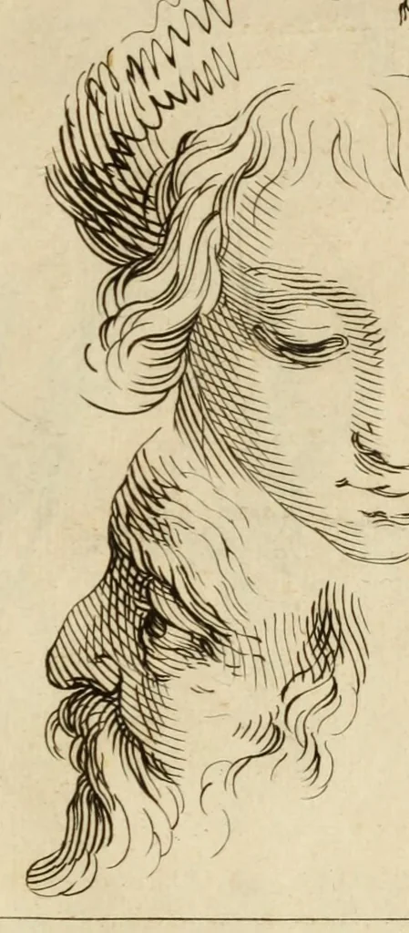 An illustration from Artis Apelleae : liber hic, studiosa juventus, aptata ingenio fert rudimenta tuo : hos duce carpe viam, membratim tota figura discitur, his gradibus scandere ad alta dabit, 1650, leaf 19