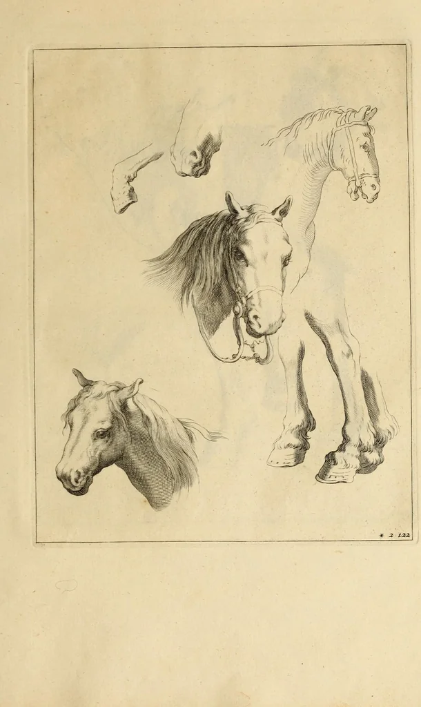 An illustration from Artis Apelleae : liber hic, studiosa juventus, aptata ingenio fert rudimenta tuo : hos duce carpe viam, membratim tota figura discitur, his gradibus scandere ad alta dabit, 1650, leaf 257