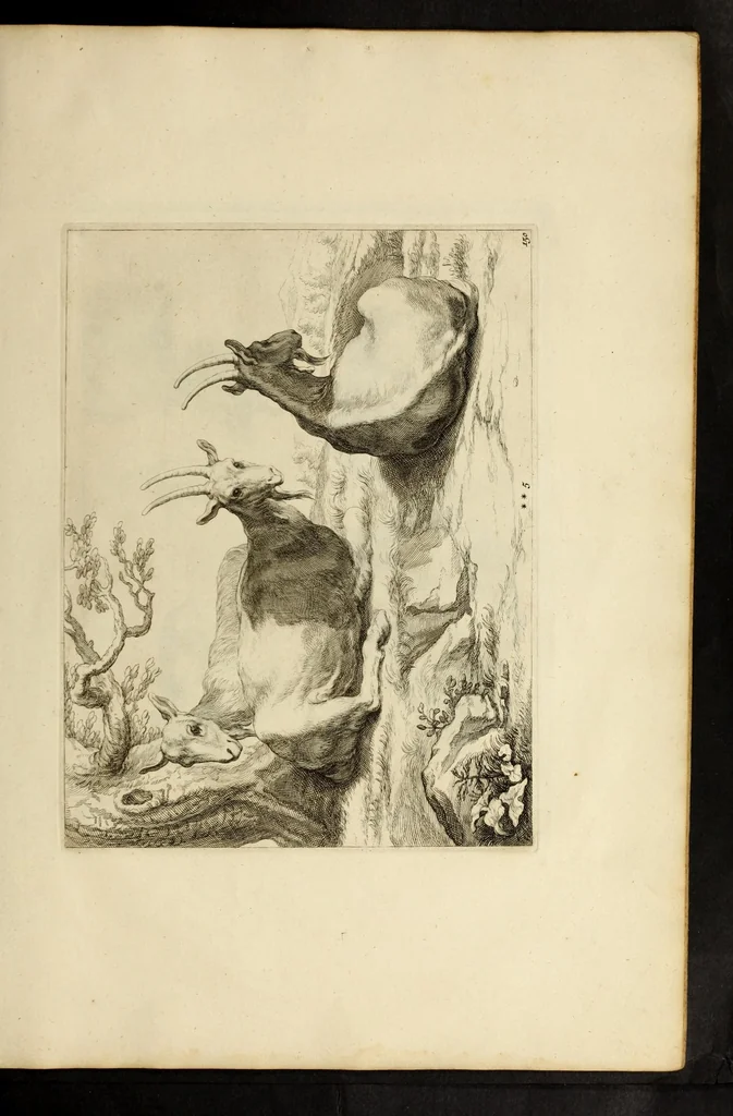 An illustration from Artis Apelleae : liber hic, studiosa juventus, aptata ingenio fert rudimenta tuo : hos duce carpe viam, membratim tota figura discitur, his gradibus scandere ad alta dabit, 1650, leaf 313