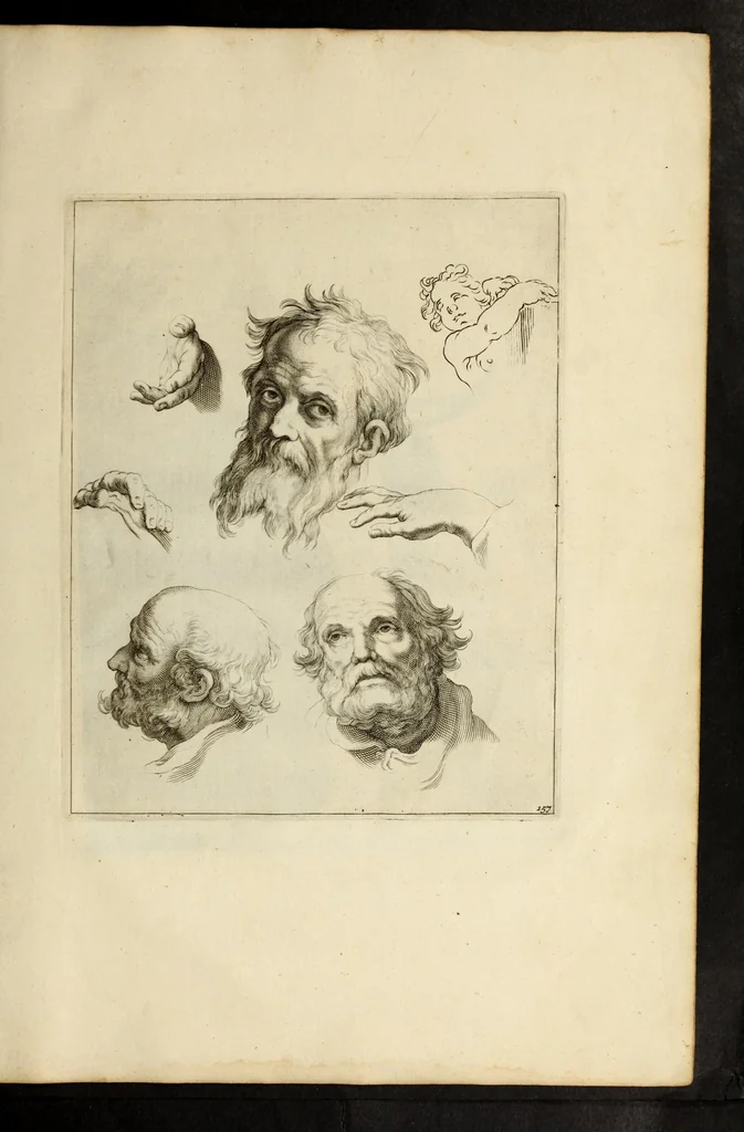 An illustration from Artis Apelleae : liber hic, studiosa juventus, aptata ingenio fert rudimenta tuo : hos duce carpe viam, membratim tota figura discitur, his gradibus scandere ad alta dabit, 1650, leaf 327