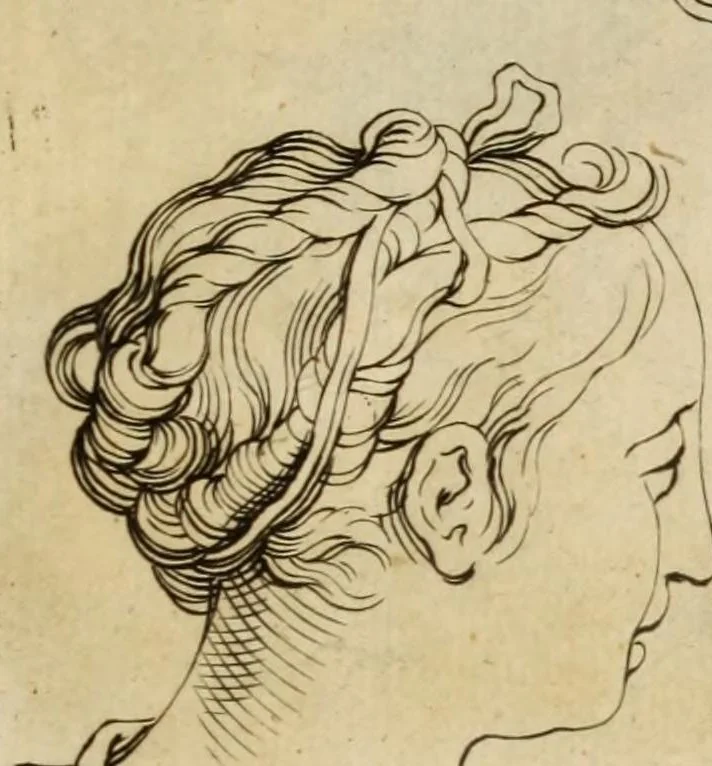 An illustration from Artis Apelleae : liber hic, studiosa juventus, aptata ingenio fert rudimenta tuo : hos duce carpe viam, membratim tota figura discitur, his gradibus scandere ad alta dabit, 1650, leaf 39