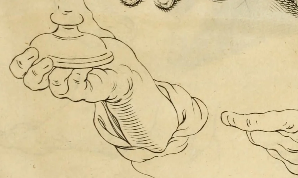 An illustration from Artis Apelleae : liber hic, studiosa juventus, aptata ingenio fert rudimenta tuo : hos duce carpe viam, membratim tota figura discitur, his gradibus scandere ad alta dabit, 1650, leaf 57