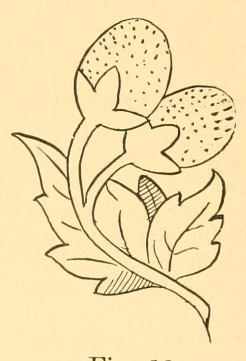An illustration from Artistic embroidery; containing practical instructions in the ornamental branches of needlework, 1880, leaf 18