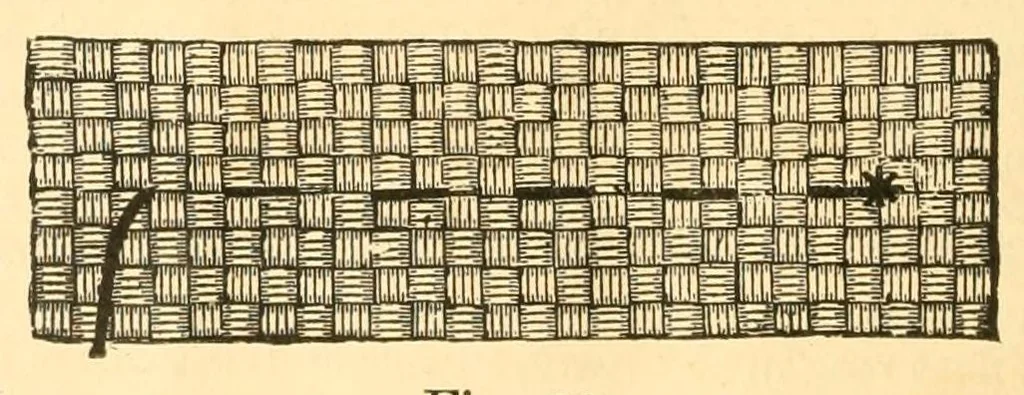 An illustration from Artistic embroidery; containing practical instructions in the ornamental branches of needlework, 1880, leaf 94