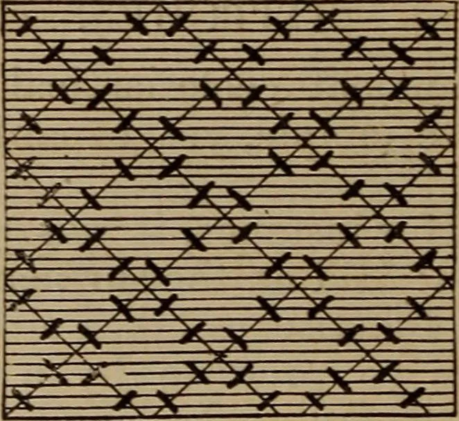 An illustration from Artistic embroidery : containing practical instructions in the ornamental branches of needlework, 1880, leaf 109