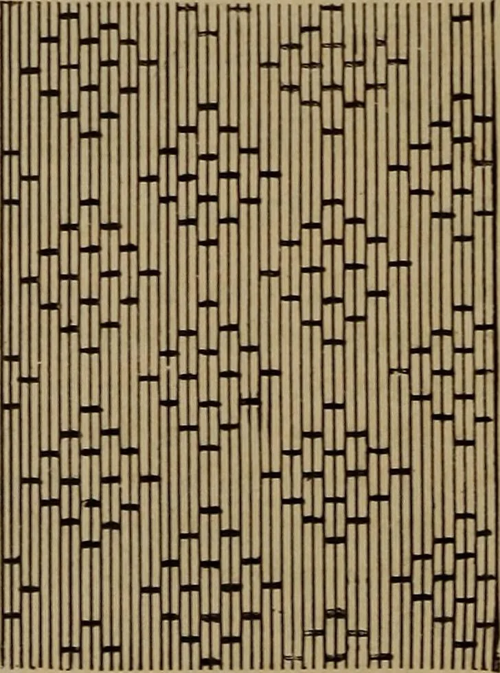 An illustration from Artistic embroidery : containing practical instructions in the ornamental branches of needlework, 1880, leaf 109