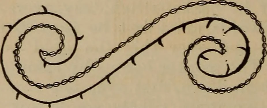 An illustration from Artistic embroidery : containing practical instructions in the ornamental branches of needlework, 1880, leaf 111