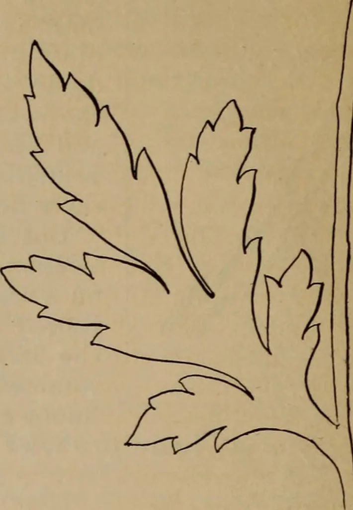 An illustration from Artistic embroidery : containing practical instructions in the ornamental branches of needlework, 1880, leaf 15