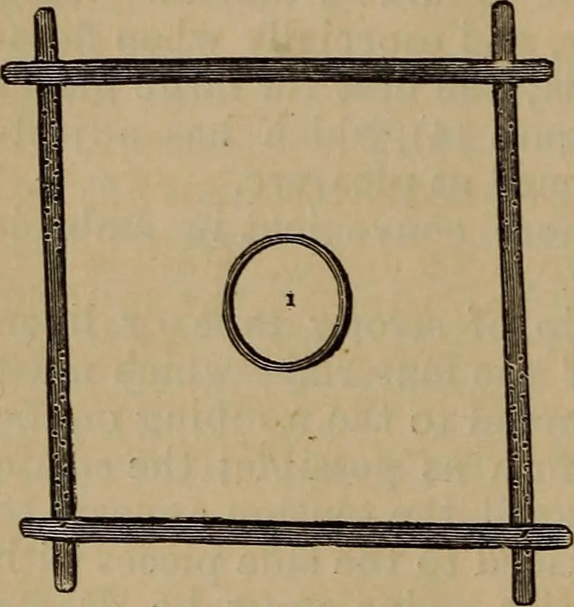 An illustration from Artistic embroidery : containing practical instructions in the ornamental branches of needlework, 1880, leaf 25