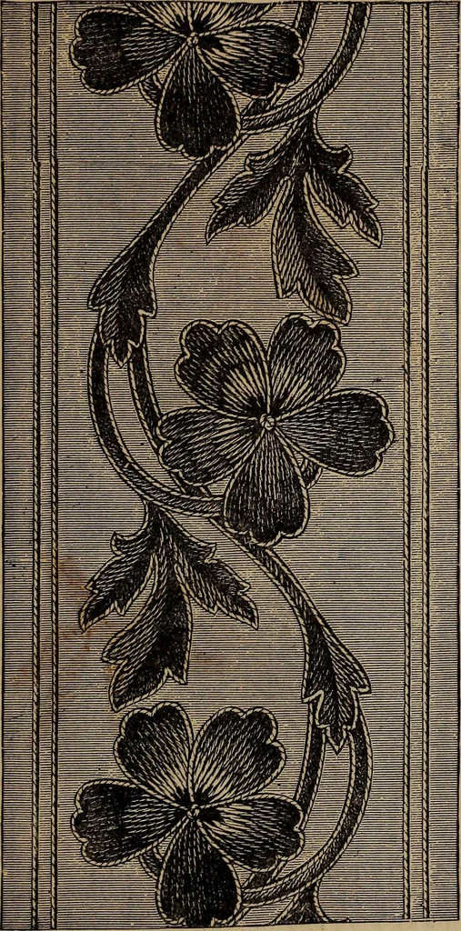 An illustration from Artistic embroidery : containing practical instructions in the ornamental branches of needlework, 1880, leaf 30