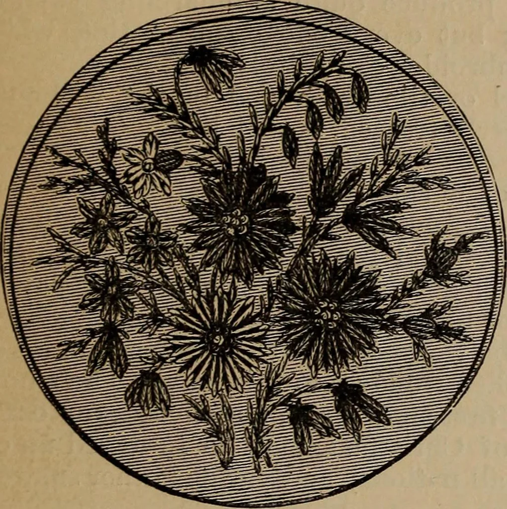 An illustration from Artistic embroidery : containing practical instructions in the ornamental branches of needlework, 1880, leaf 48